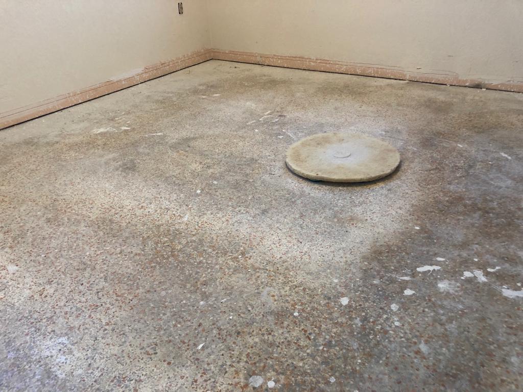 PHOTO-2020-07-17-13-22-10 (1)