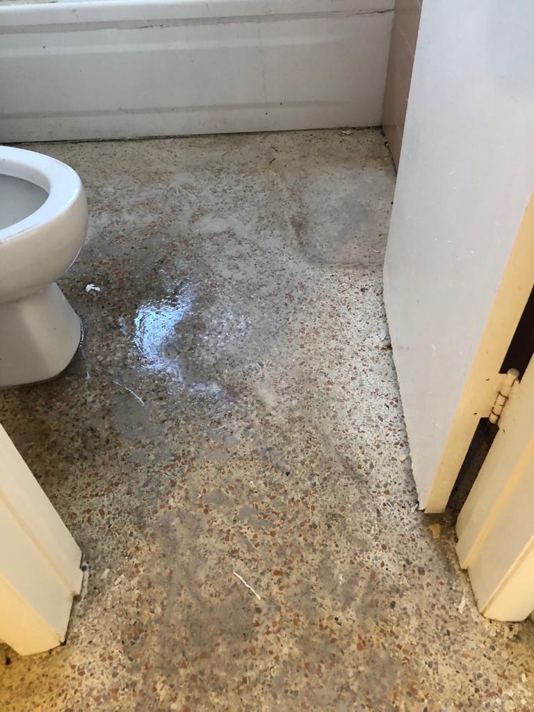 PHOTO-2020-07-17-13-22-10 (2)