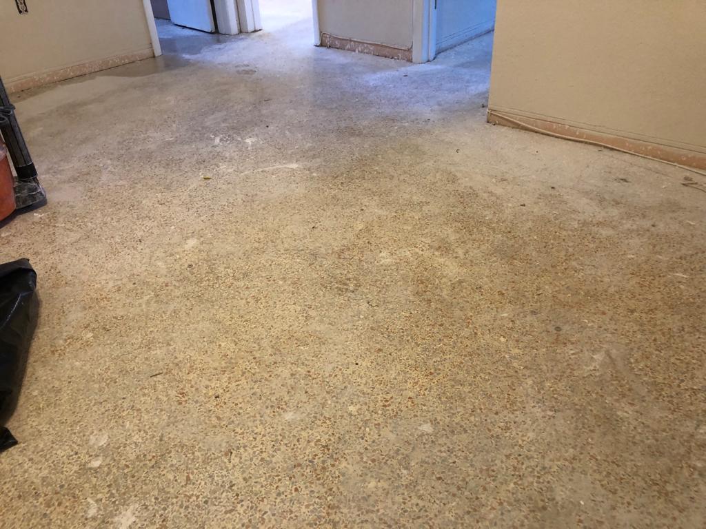 PHOTO-2020-07-17-13-22-10 (5)