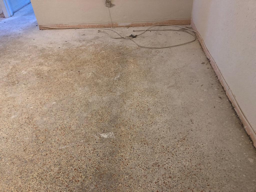 PHOTO-2020-07-17-13-22-10 (6)