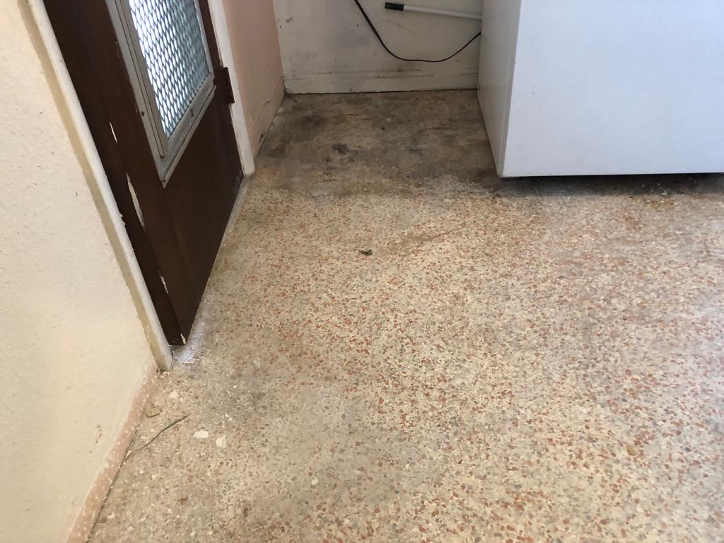 PHOTO-2020-07-17-13-22-10 (7)