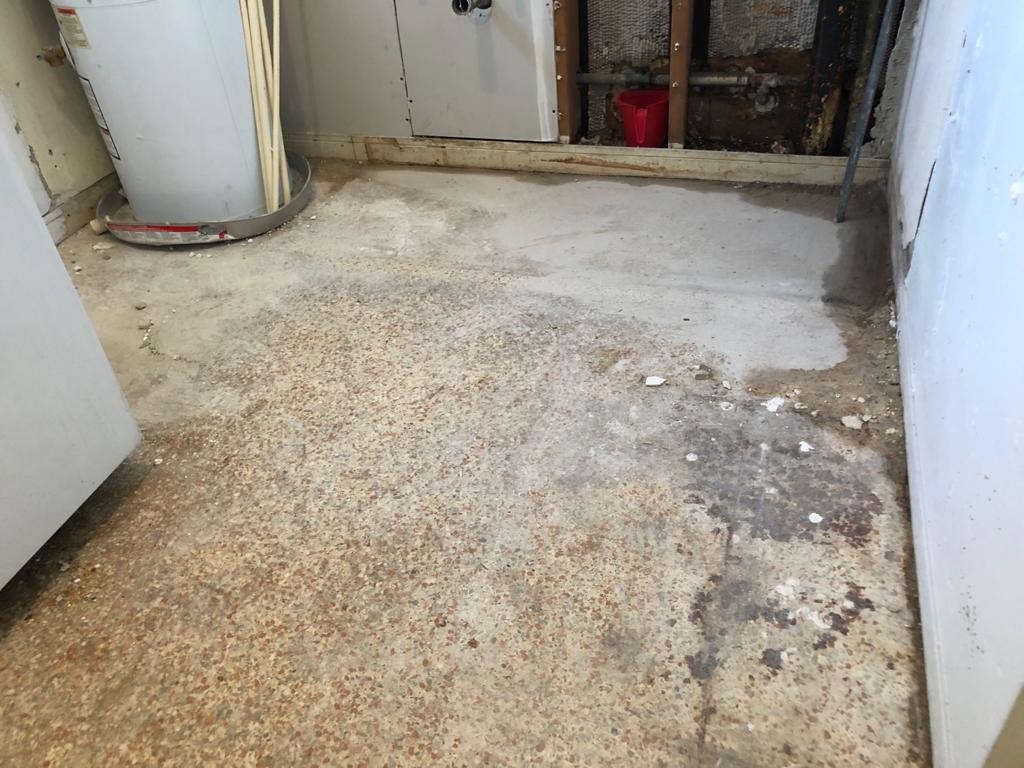 PHOTO-2020-07-17-13-22-10 (8)