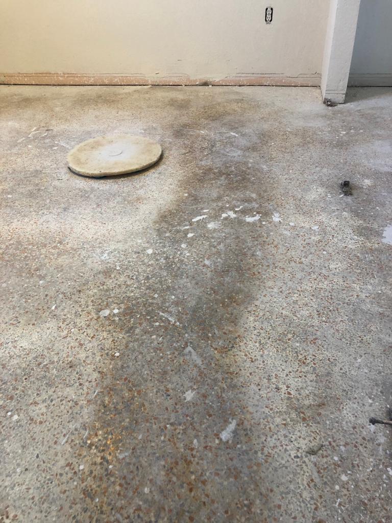 PHOTO-2020-07-17-13-22-10